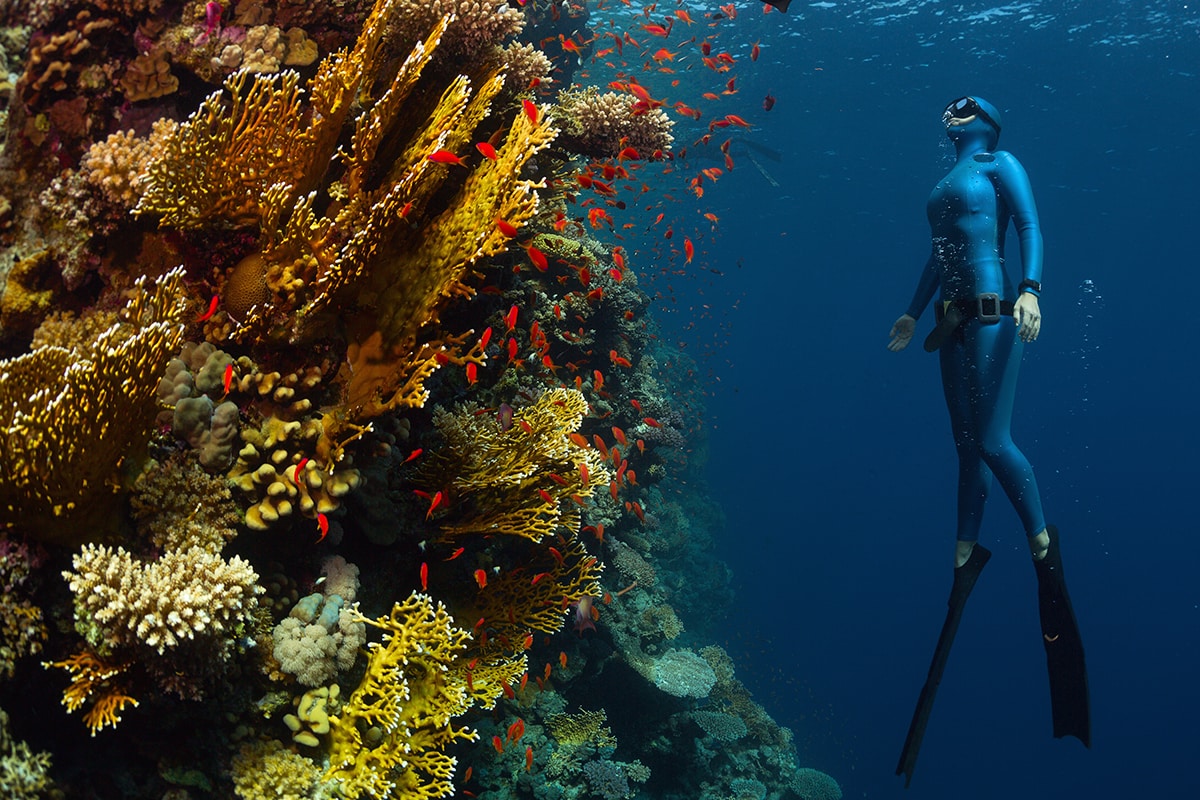 How Do I Start Freediving