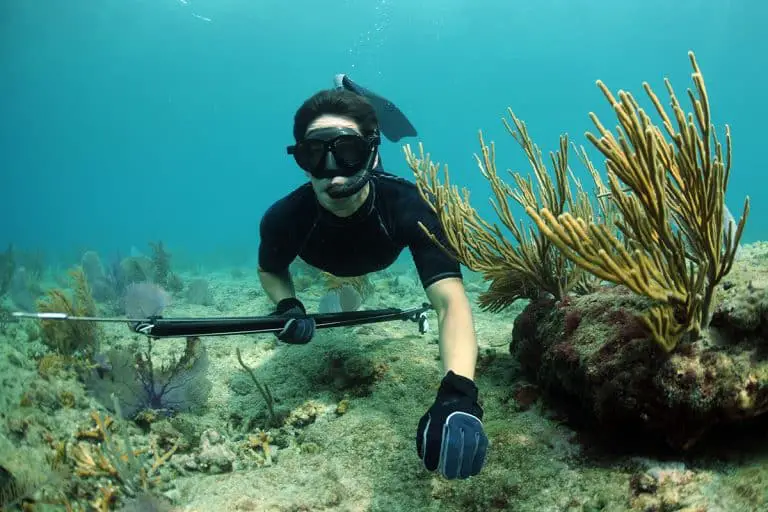 What Equipment Do You Need for Spearfishing