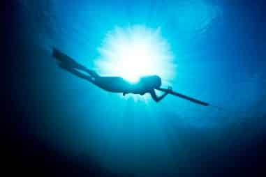 Where is the Best Spearfishing in the World