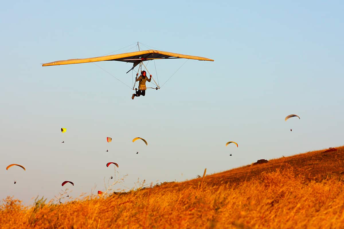 hang glider vs paraglider